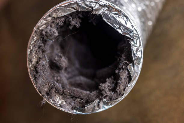 Best General Air Duct Cleaning  in Owens Cross Roads, AL